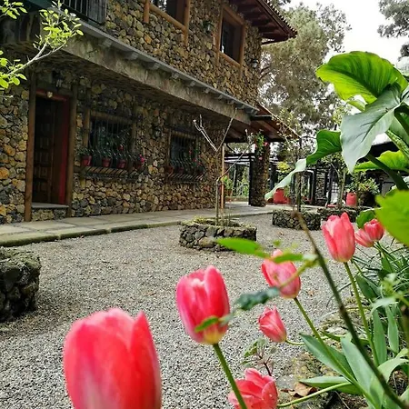 בית נופש Pinar Del Teide איקוד דה לוס וינוס