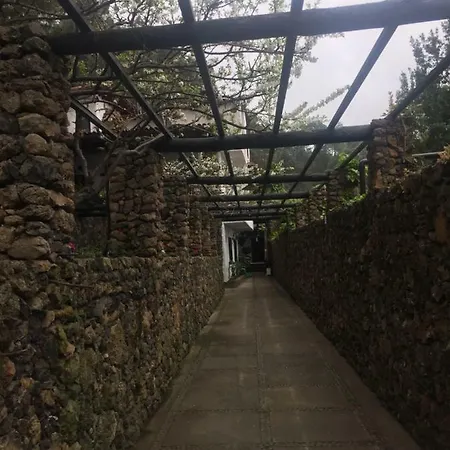Pinar Del Teide Holiday home Icod De Los Vinos