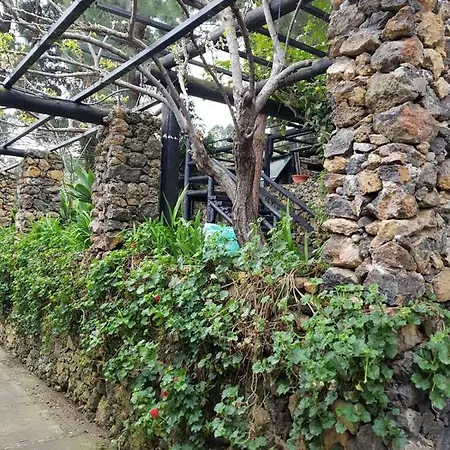 Pinar Del Teide Semesterbostad